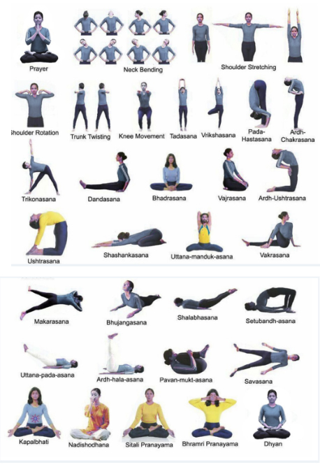 Common Yoga Protocol l International Yoga Day by IndeaYoga l Asana